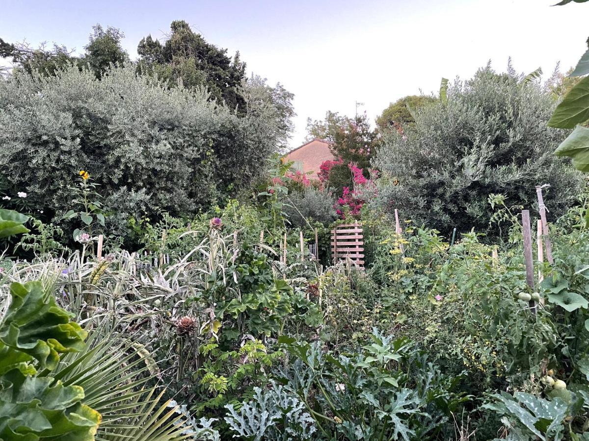 Villa Leona Clim Park Bollène Dış mekan fotoğraf