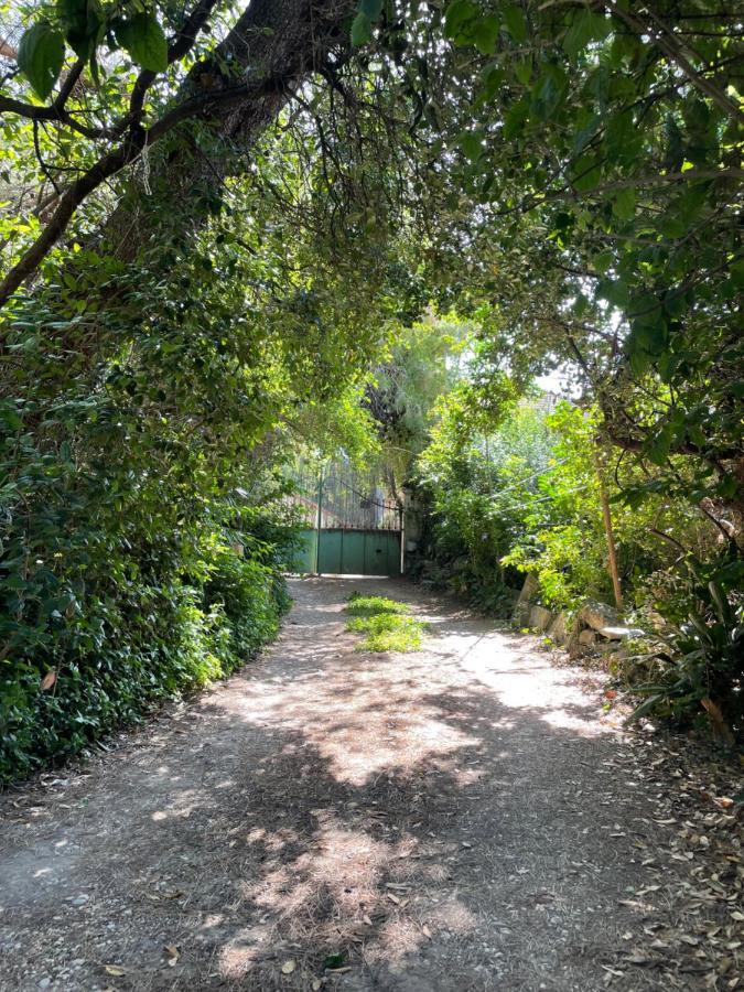 Villa Leona Clim Park Bollène Dış mekan fotoğraf
