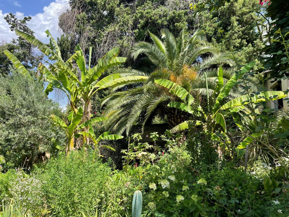 Villa Leona Clim Park Bollène Dış mekan fotoğraf