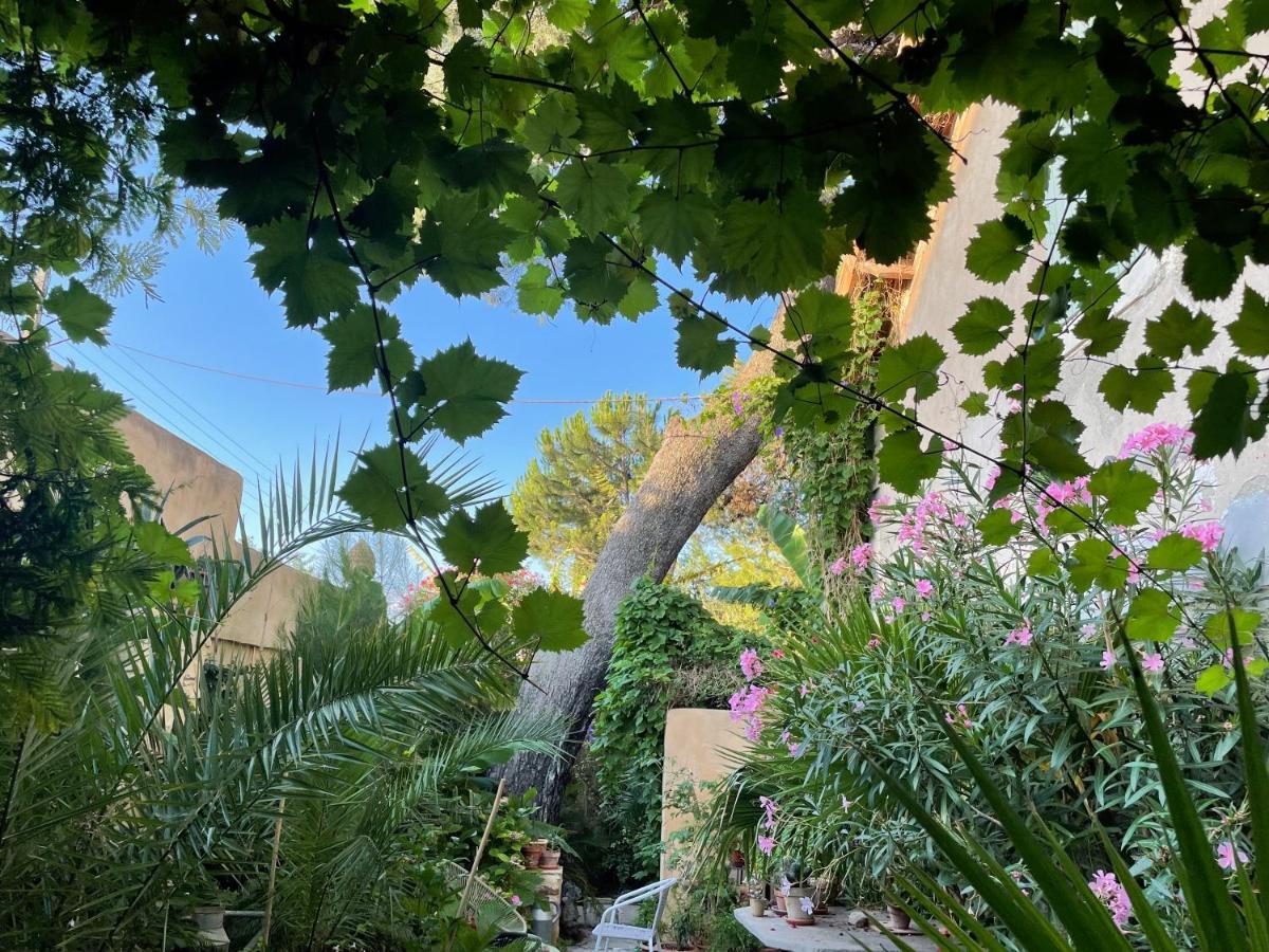 Villa Leona Clim Park Bollène Dış mekan fotoğraf