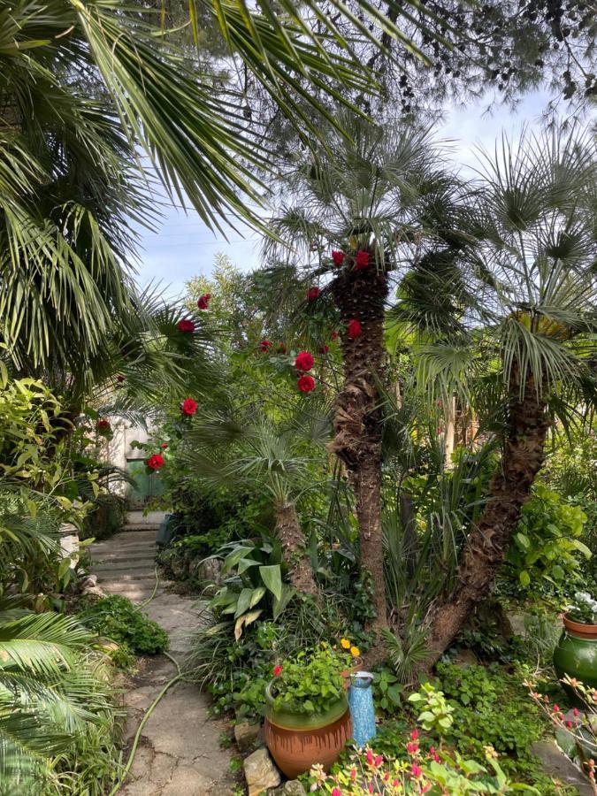 Villa Leona Clim Park Bollène Dış mekan fotoğraf